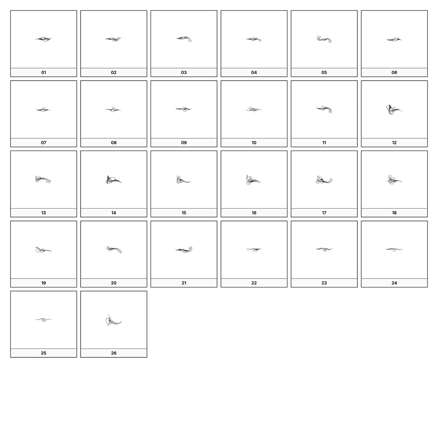 A collection of intricate black and gray ornamental flourish designs, featuring swirling lines and curves, displayed on a white background in a grid formation.