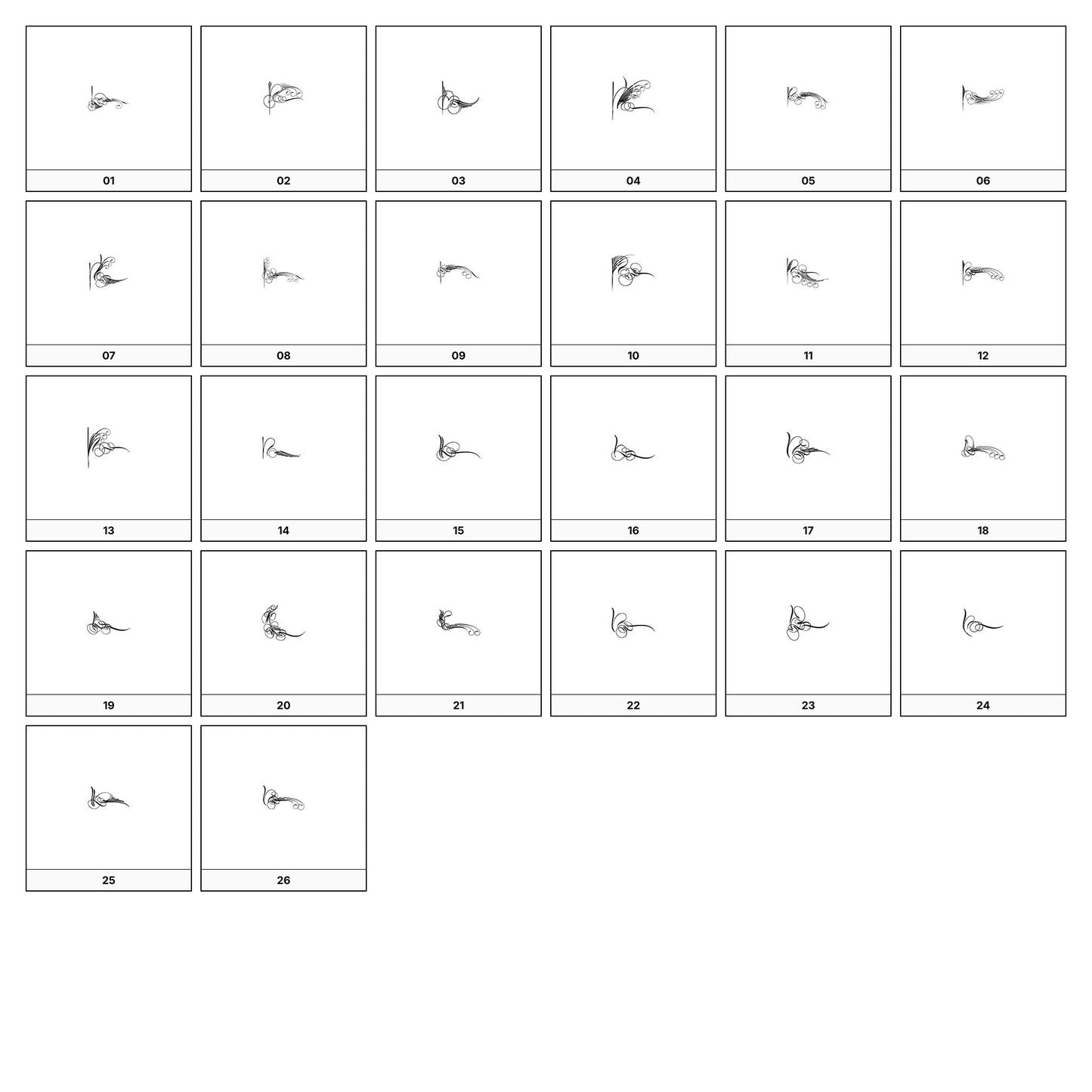 A collection of intricate black and gray ornamental flourish designs, featuring swirling lines and curves, displayed on a white background in a grid formation.