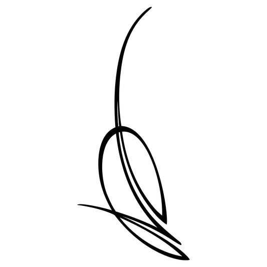 Automotive pinstripe decal sticker, Behounek S1 style 02.