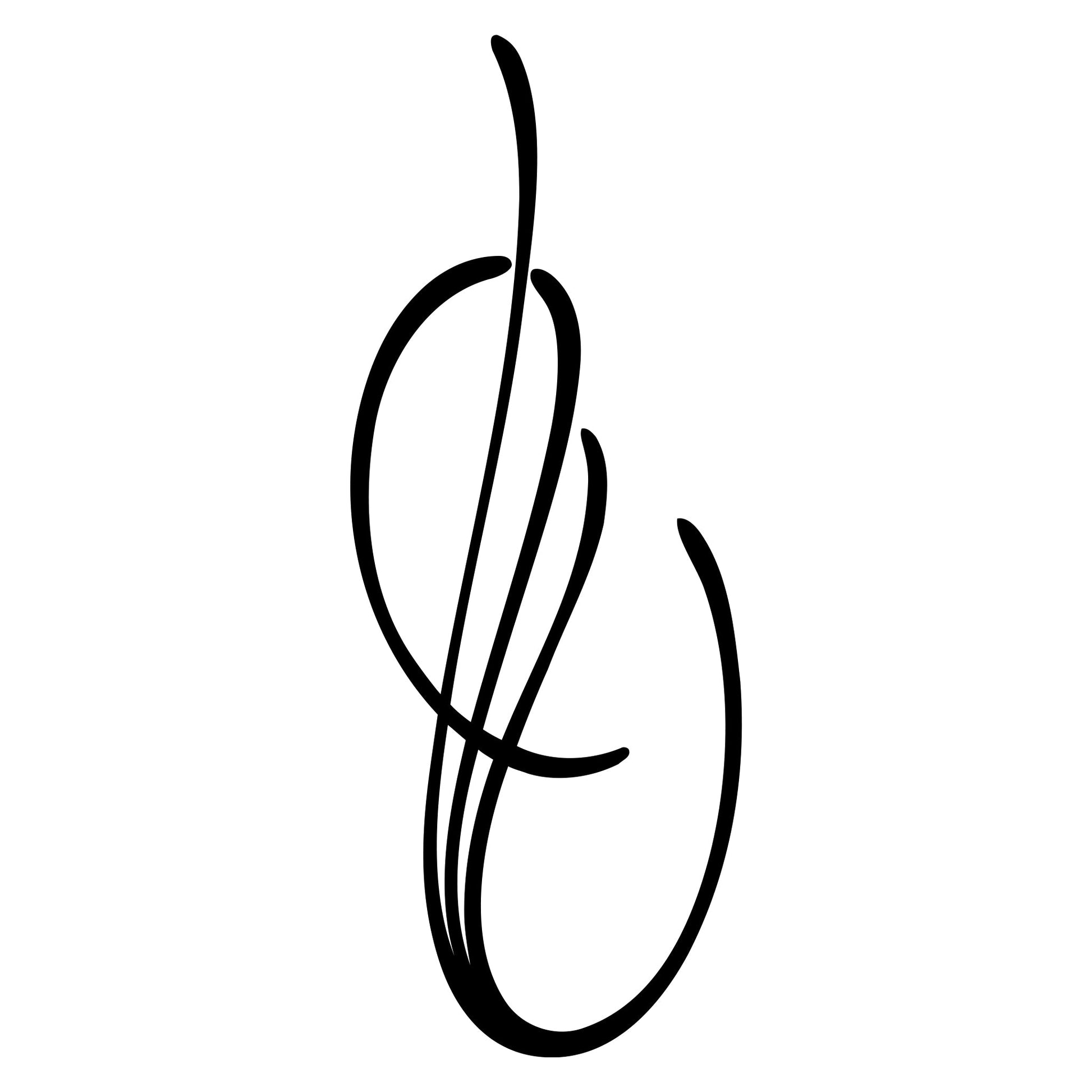 Behounek S1 decal sticker, style 05, body-line stripe.