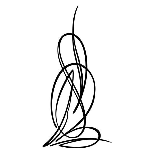 Behounek S1 pinstripe vinyl decal sticker, style 11.