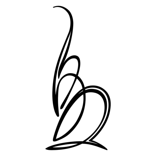 Automotive pinstripe decal sticker, Behounek S1 style 12.