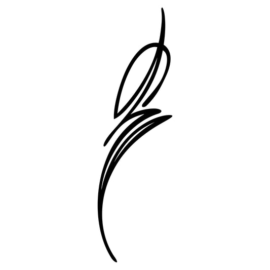 Vehicle pinstripe vinyl sticker, Behounek S1 style 19.