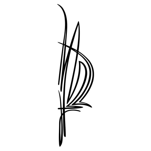 Behounek S1 pinstripe vinyl decal sticker, style 21.