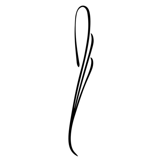 Automotive pinstripe decal sticker, Behounek S1 style 22.