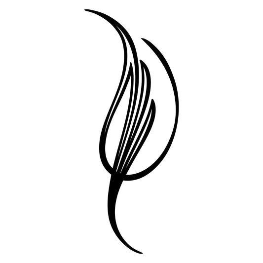 Behounek S1 pinstripe sticker decal, style 23, thin accent line.