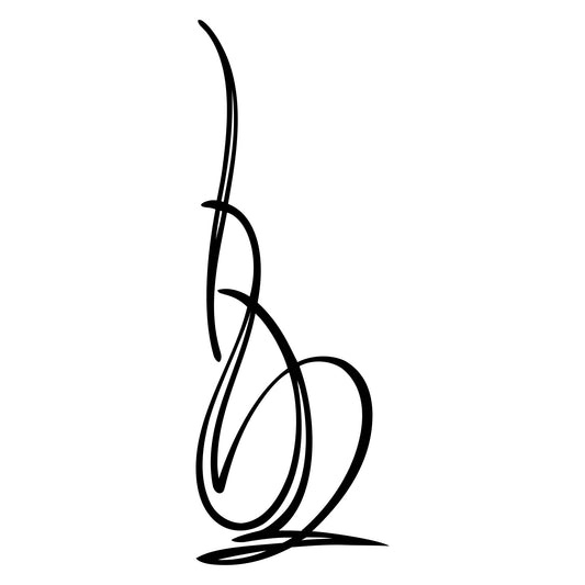 Vehicle pinstripe vinyl sticker, Behounek S1 style 24.