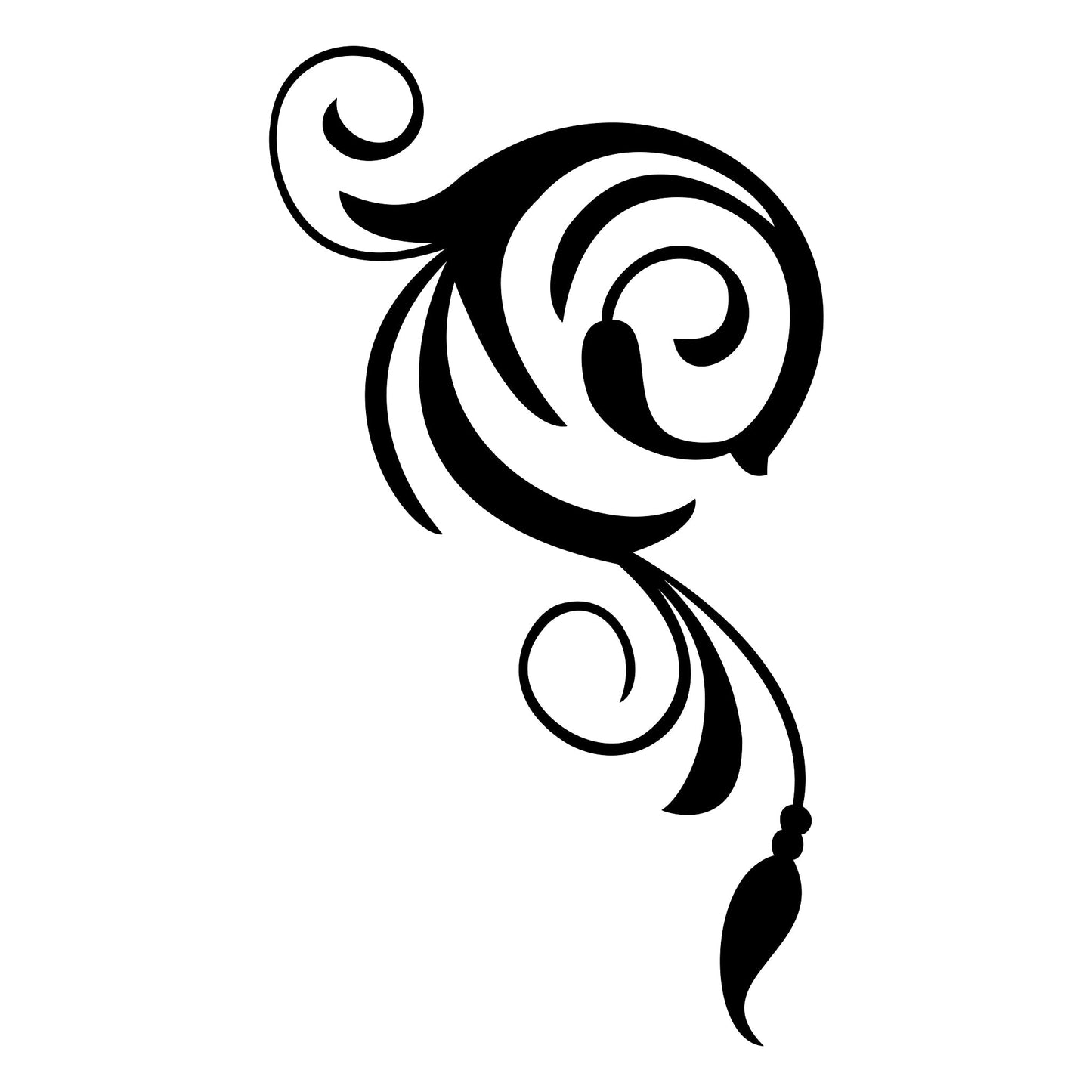 Souza decal sticker, style 05, body-line stripe.