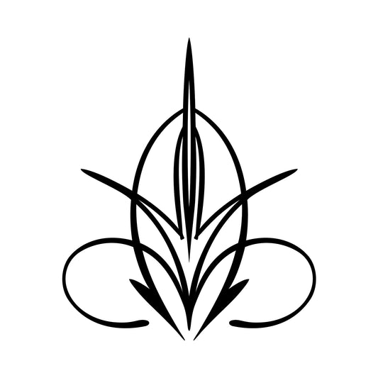 Vehicle pinstripe vinyl sticker, Tramp style 04.