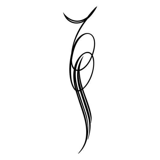 Vehicle pinstripe vinyl sticker, Tramp style 19.