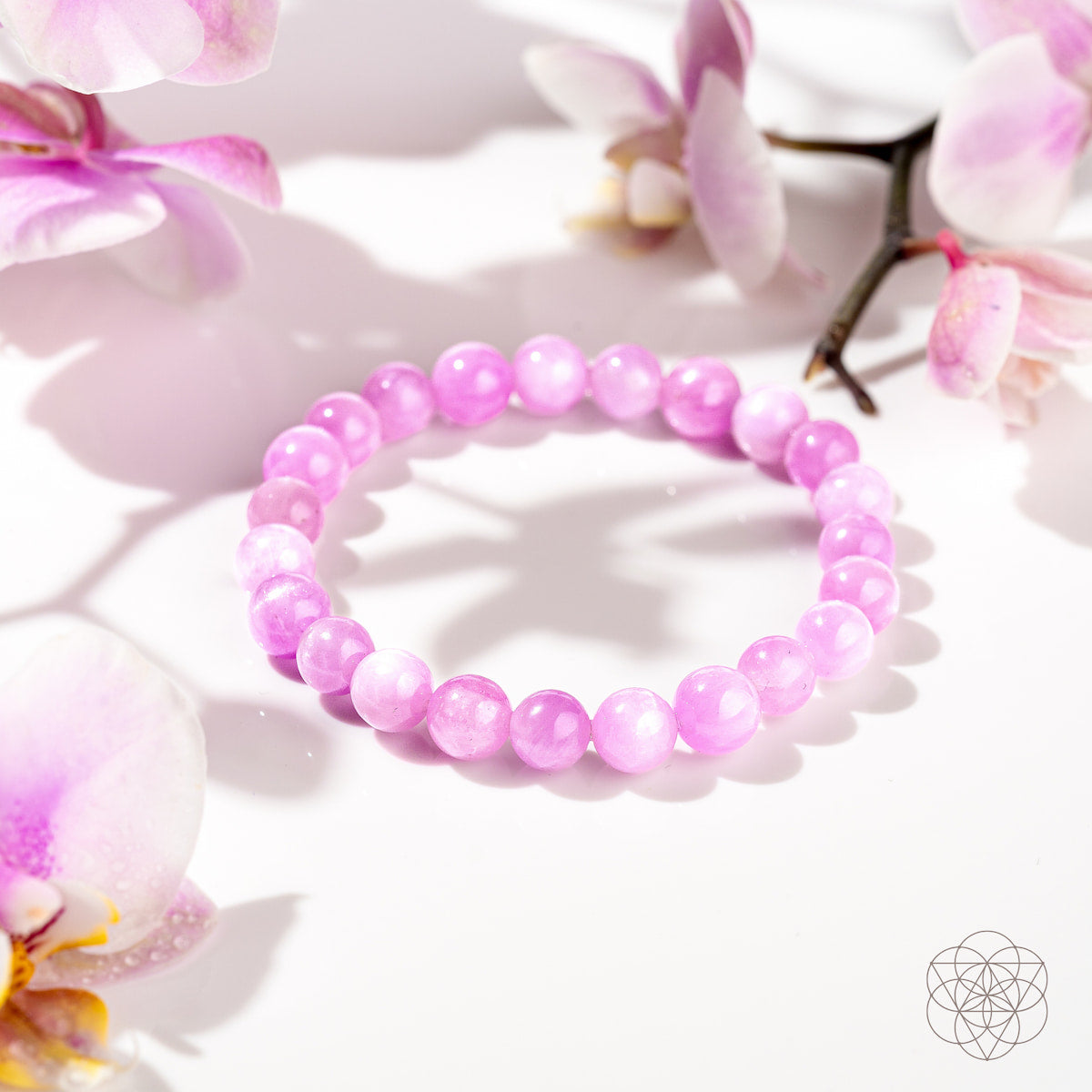 The Heart Reset - Rare Pink Kunzite Bracelet by Conscious Items is displayed in a circle on a white surface, accented with light pink orchids. Bright lighting and soft tones highlight its delicate look, ideal for emotional healing.