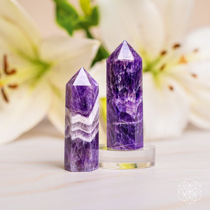 Two Cycle Breaker - Chevron Amethyst Points of Transformation from Conscious Items stand upright on a light surface, displaying striking purple and white bands. Known for stress relief and aiding sleep, they're elegantly set with soft-focus lilies in the background.