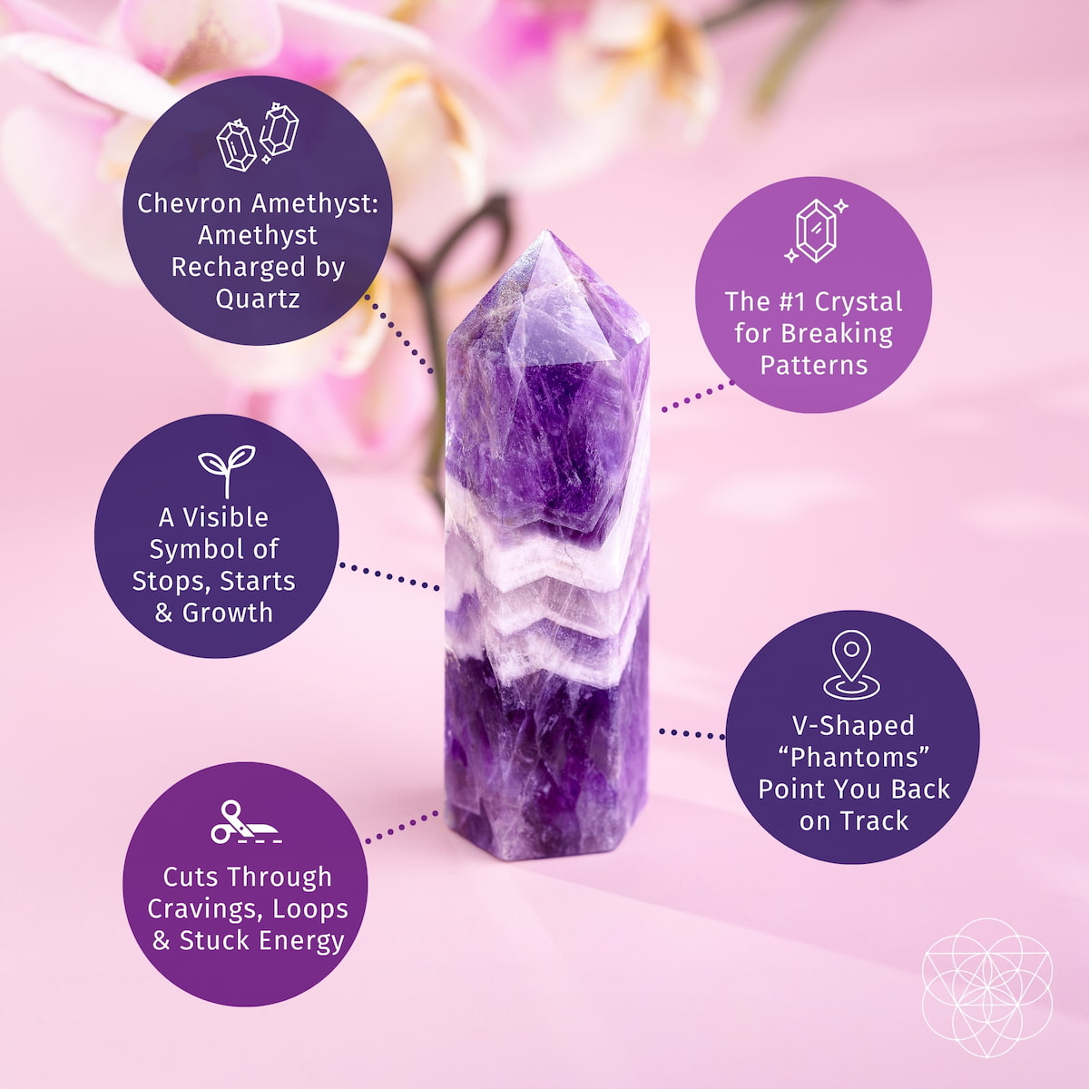 The Cycle Breaker - Chevron Amethyst Point of Transformation by Conscious Items stands upright with four info bubbles: recharged by quartz, stress relief, breaks patterns, cuts stagnant energy—all set against a soft pink floral background.