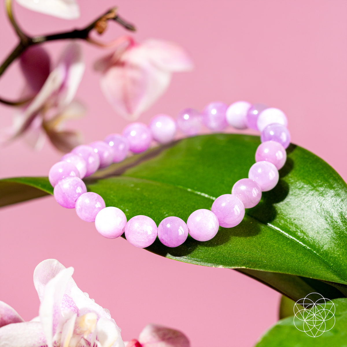 The Heart Reset - Rare Pink Kunzite Bracelet by Conscious Items, featuring round light purple beads, rests on a vibrant green leaf with pink orchids and a soft pink backdrop—ideal for heart-opening energy and emotional healing.