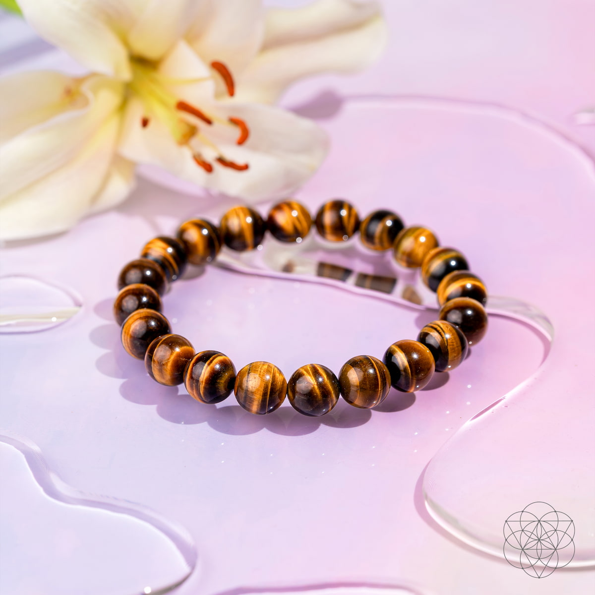 The Built to Win – 7A Grade Tiger’s Eye Bracelet by Conscious Items rests on a glossy pink surface with water droplets, beside a pale yellow lily flower.
