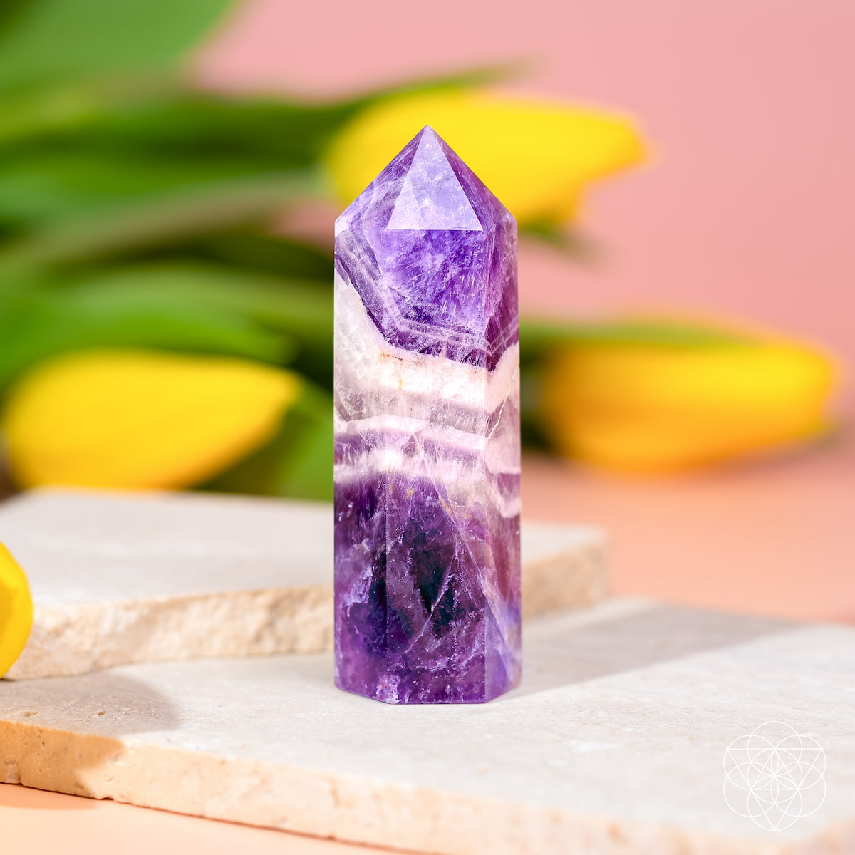 The Cycle Breaker - Chevron Amethyst Point of Transformation by Conscious Items stands upright on a light stone surface, displaying bands of purple and white, with blurred yellow tulips and green leaves in the background.