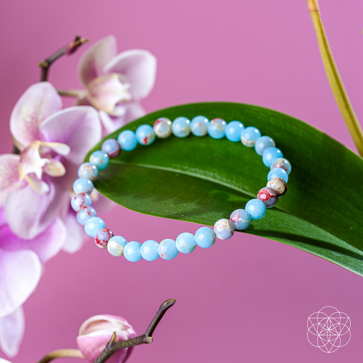 The Empath’s Shield – Aqua Terra Jasper Bracelet | 6mm by Conscious Items rests on a green orchid leaf, with light purple orchids and a pink backdrop for auric protection.