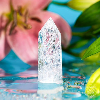 The Limitless Manifestation - Ice Quartz Point by Conscious Items stands upright on a wet surface, with a pink lily and green leaves softly blurred in the background, creating a vibrant, fresh atmosphere.