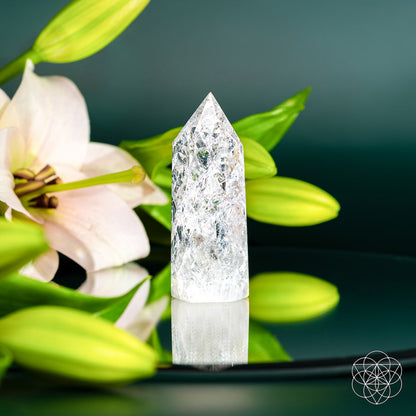 The Limitless Manifestation - Ice Quartz Point by Conscious Items stands upright on a reflective surface, accented by a pale pink lily and green buds, elegantly amplifying manifestations against a soft, dark background.