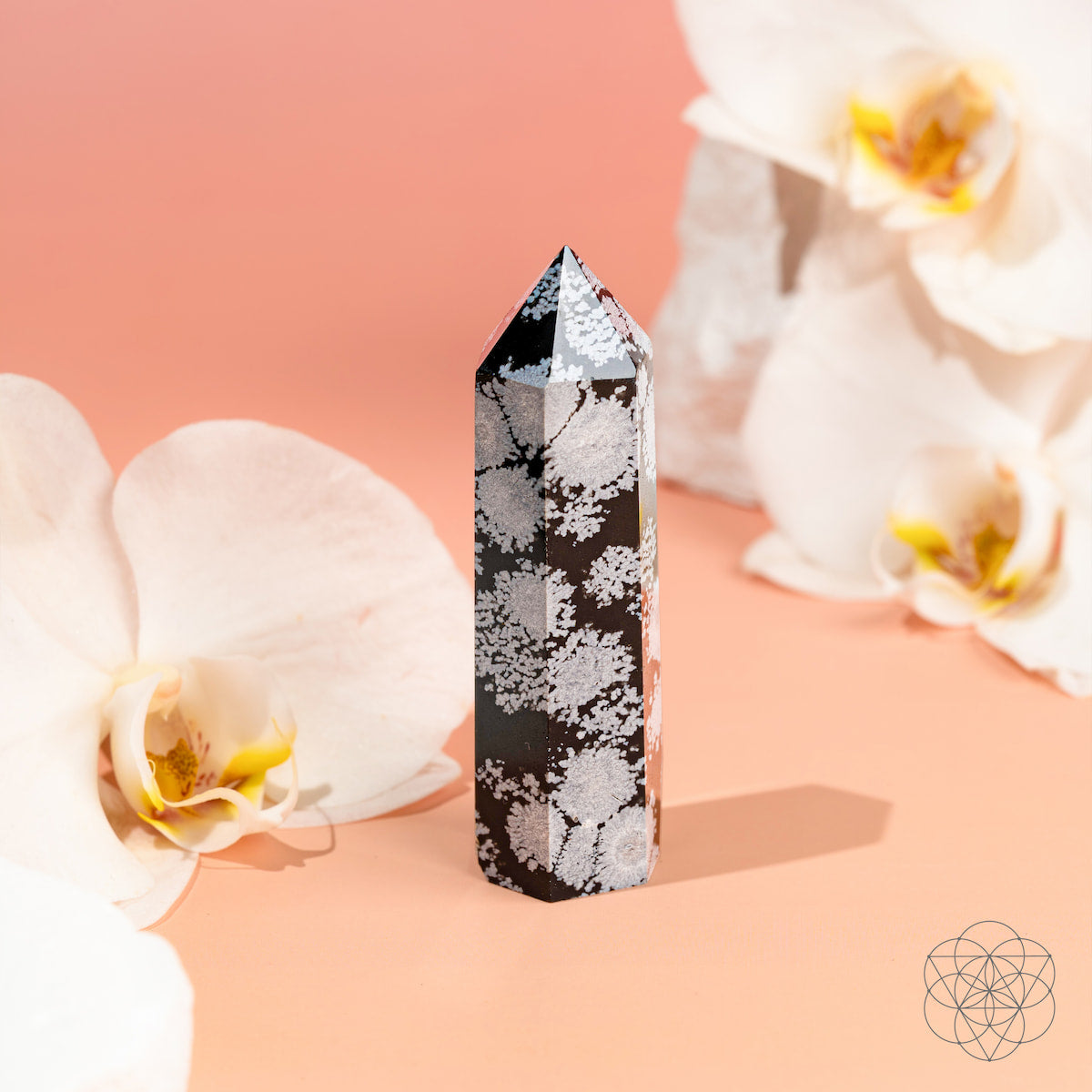 The Spiritual Bodyguard - Snowflake Obsidian Point by Conscious Items stands upright on a peach background, framed by white orchids with yellow centers—a refined symbol of balance and stability.
