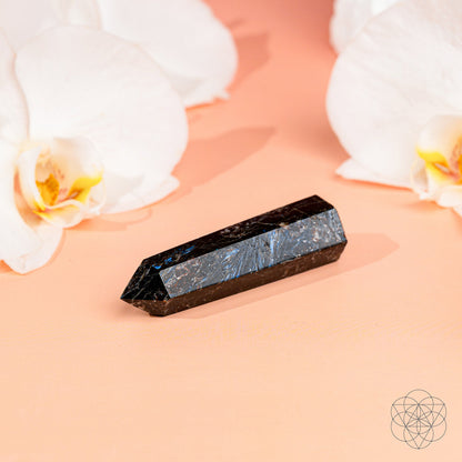 The Conscious Items "This Is Your Breakthrough – Rare Arfvedsonite Point" rests on a peach backdrop, framed by white orchids. The bright, serene setting highlights its breakthrough energy and elegant presence.