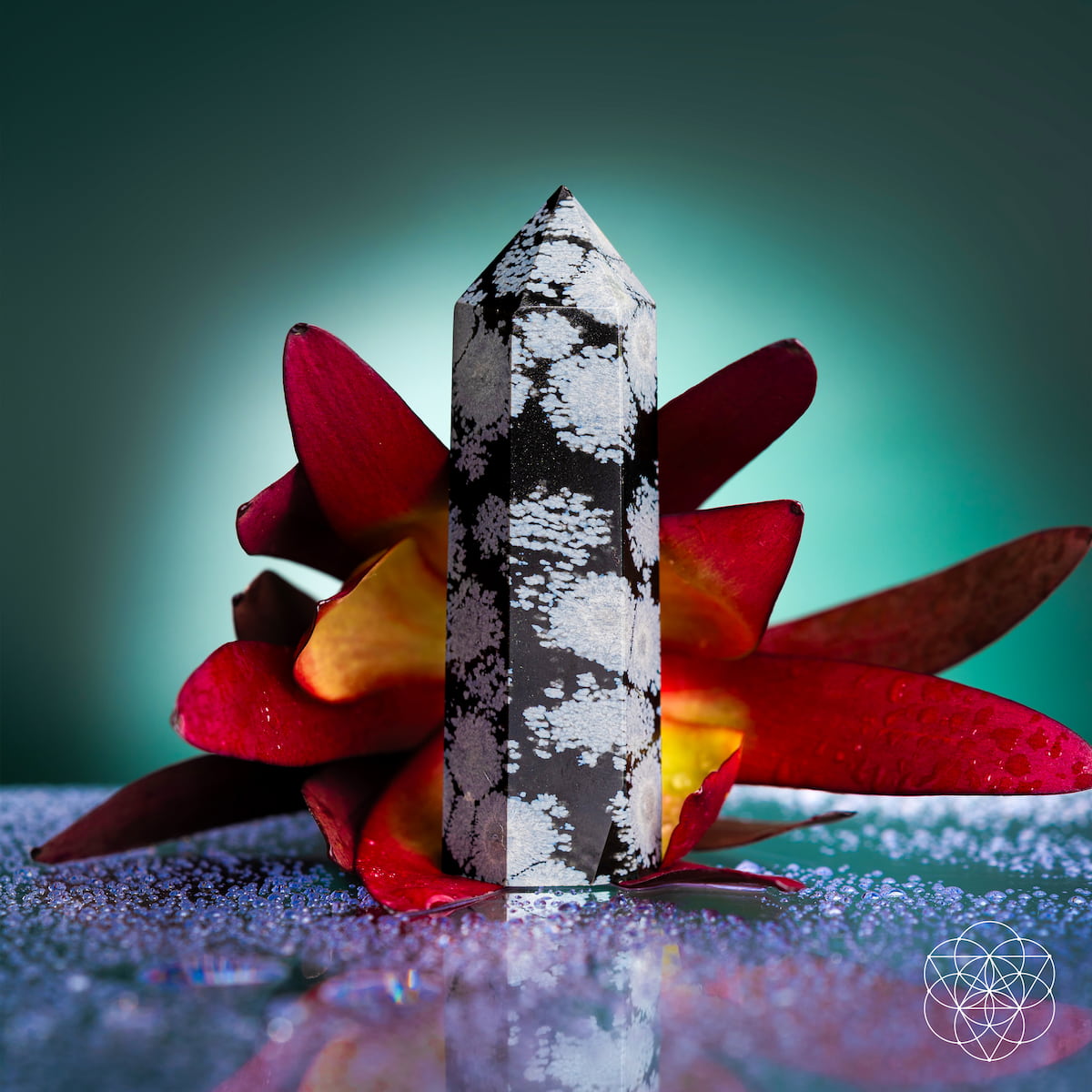The Spiritual Bodyguard - Snowflake Obsidian Point by Conscious Items, an emotional healing stone for balance and stability, stands upright before a red and yellow flower with water droplets on a reflective surface against a green-blue gradient background.