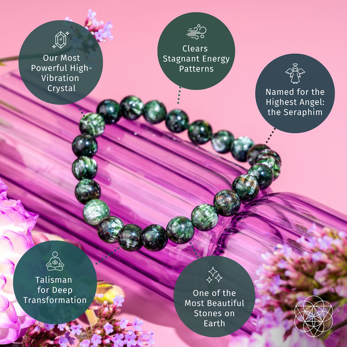 The Angel Energy – Rare Seraphinite Bracelet of Transformation by Conscious Items, in green and black beads, is shown on a purple glass tube amid flowers, with five info bubbles about this healing crystal on a pink background.