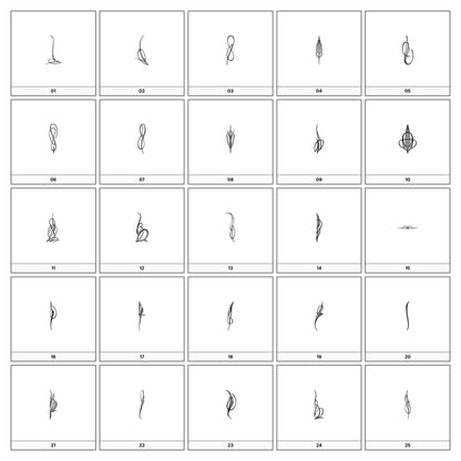 A collection of  intricate black and gray ornamental flourish designs, featuring swirling lines and curves, displayed on a white background in a grid formation.