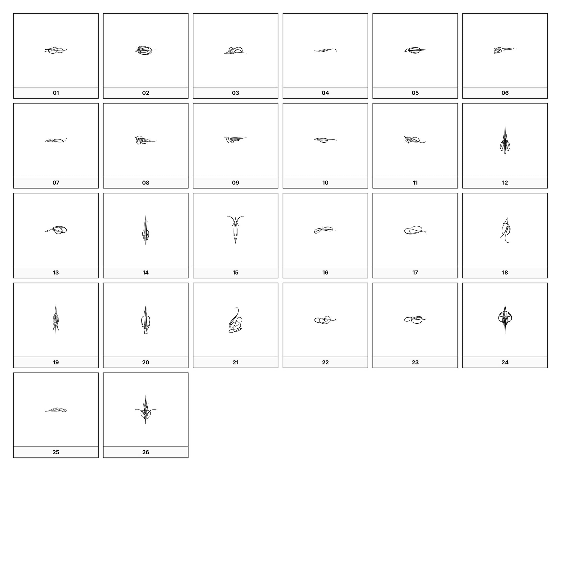 A collection of intricate black and gray ornamental flourish designs, featuring swirling lines and curves, displayed on a white background in a grid formation.