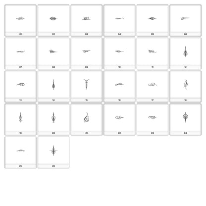 A collection of intricate black and gray ornamental flourish designs, featuring swirling lines and curves, displayed on a white background in a grid formation.
