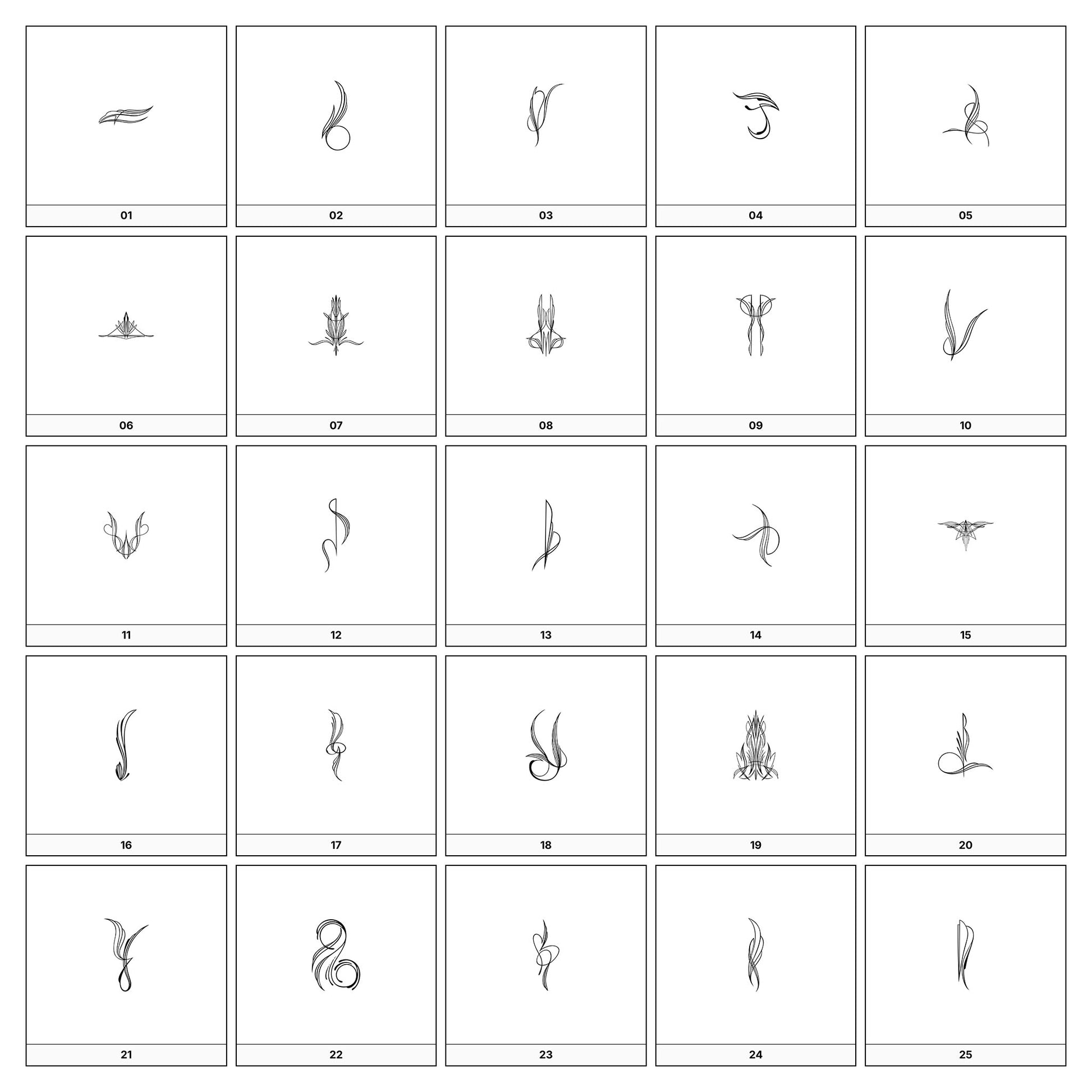 A collection of intricate black and gray ornamental flourish designs, featuring swirling lines and curves, displayed on a white background in a grid formation.