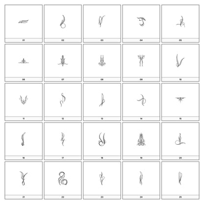 A collection of intricate black and gray ornamental flourish designs, featuring swirling lines and curves, displayed on a white background in a grid formation.