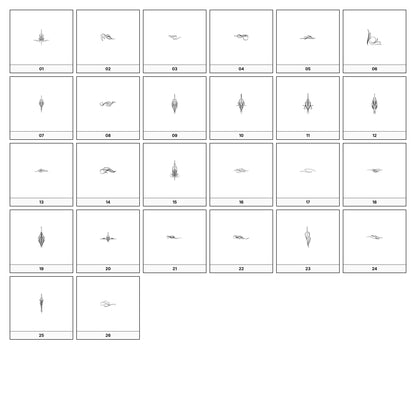 A collection of intricate black and gray ornamental flourish designs, featuring swirling lines and curves, displayed on a white background in a grid formation.
