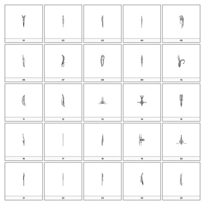 A collection of intricate black and gray ornamental flourish designs, featuring swirling lines and curves, displayed on a white background in a grid formation.