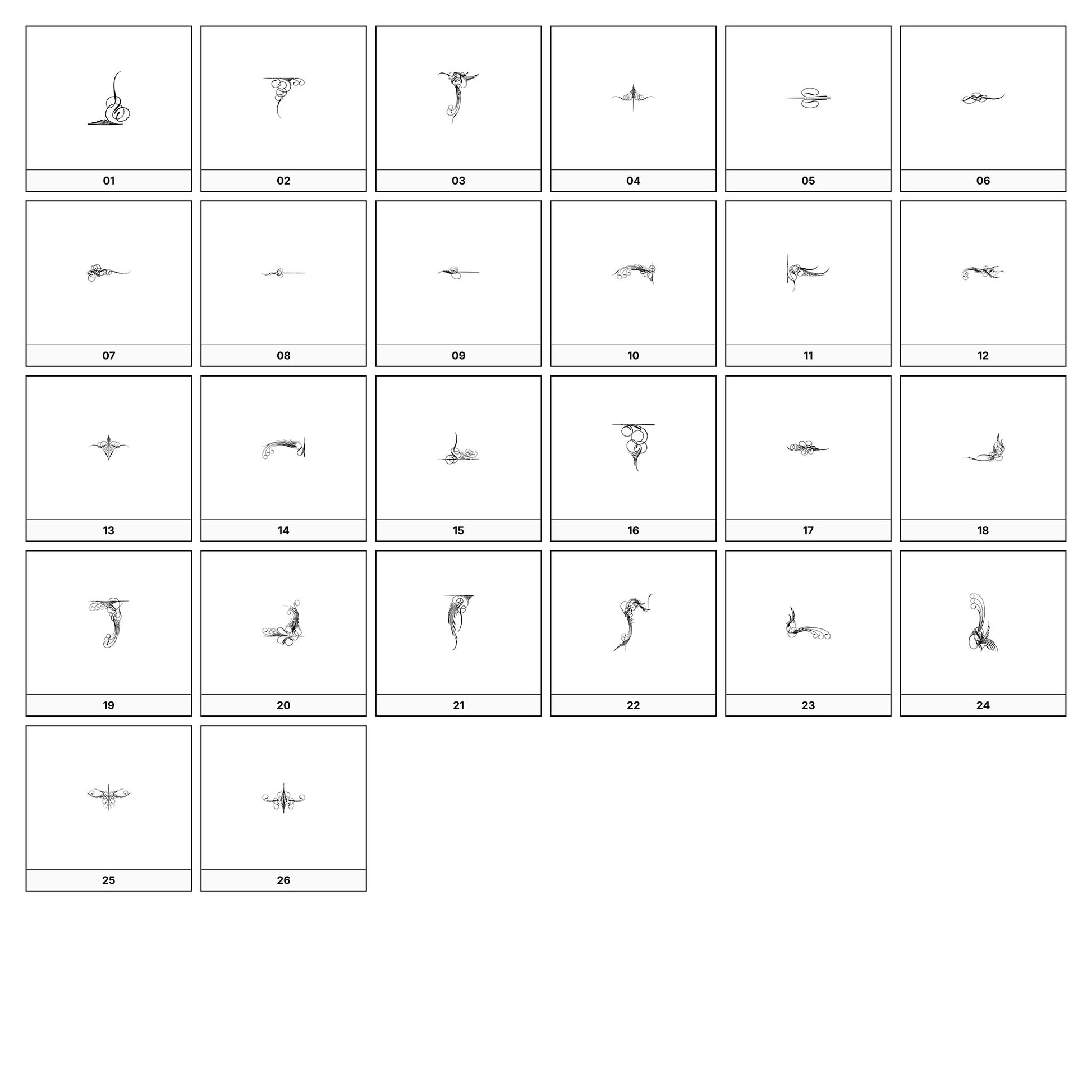 A collection of intricate black and gray ornamental flourish designs, featuring swirling lines and curves, displayed on a white background in a grid formation.