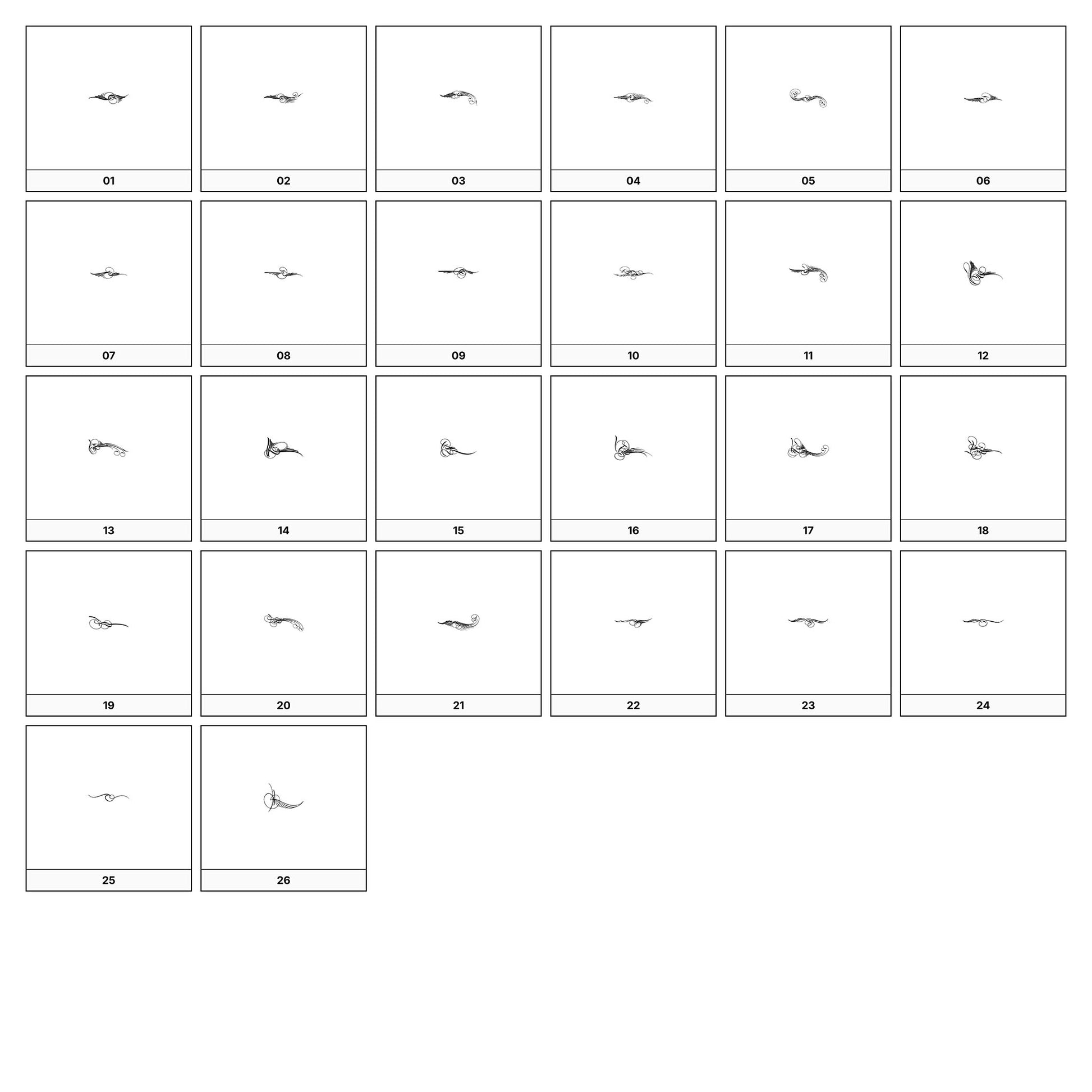 A collection of intricate black and gray ornamental flourish designs, featuring swirling lines and curves, displayed on a white background in a grid formation.