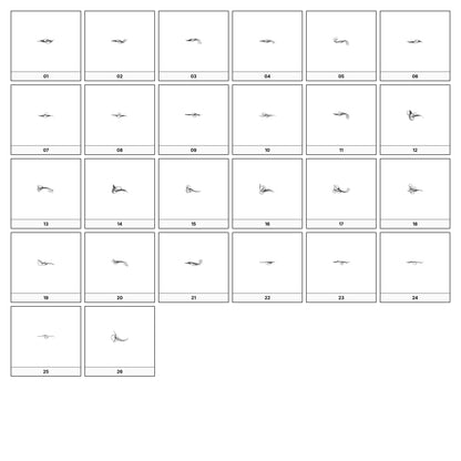 A collection of intricate black and gray ornamental flourish designs, featuring swirling lines and curves, displayed on a white background in a grid formation.