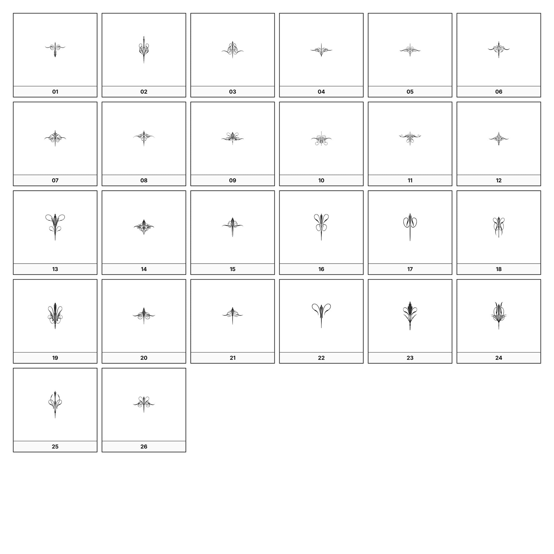 A collection of intricate black and gray ornamental flourish designs, featuring swirling lines and curves, displayed on a white background in a grid formation.