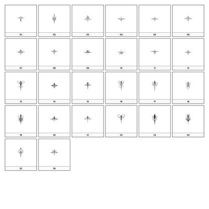 A collection of intricate black and gray ornamental flourish designs, featuring swirling lines and curves, displayed on a white background in a grid formation.