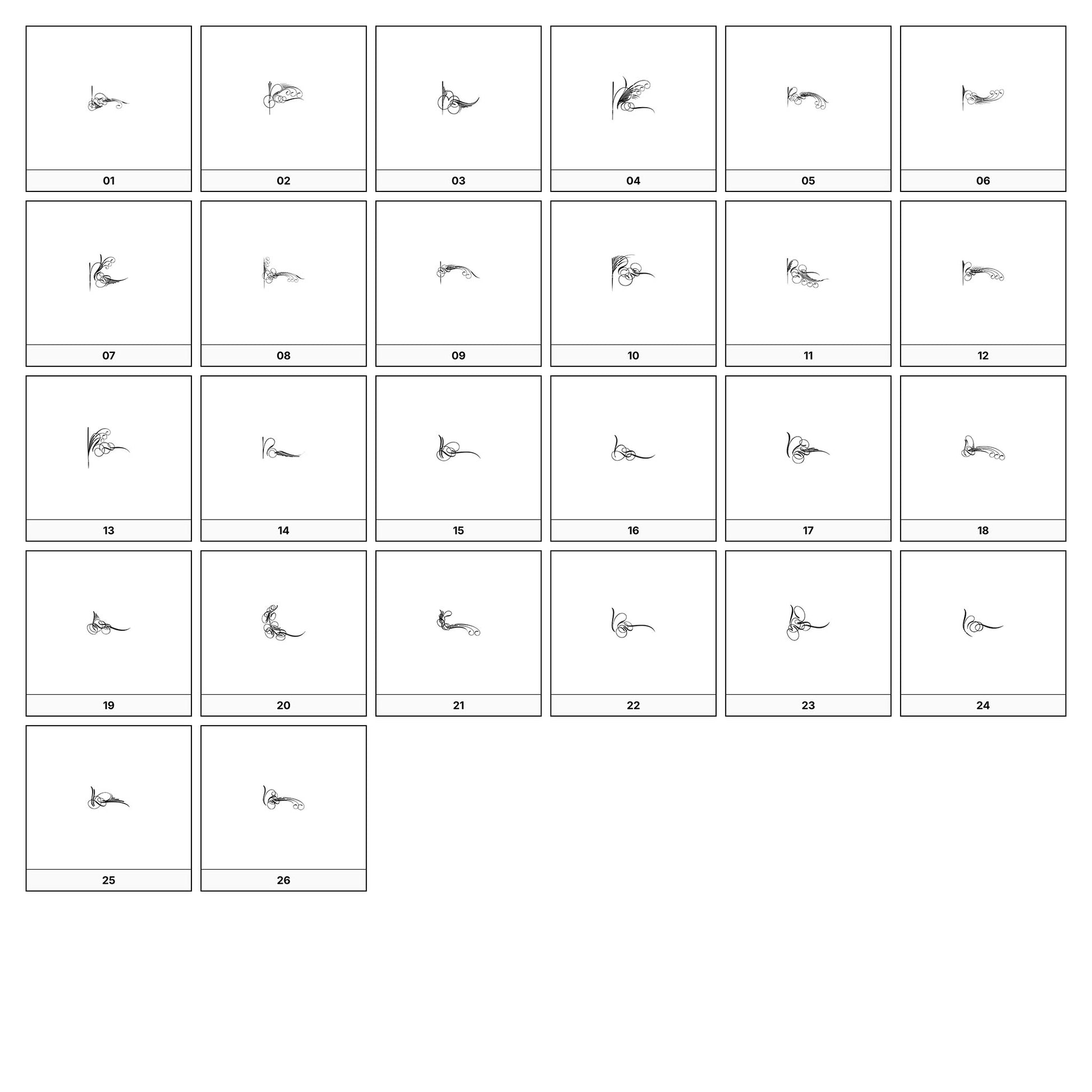 A collection of intricate black and gray ornamental flourish designs, featuring swirling lines and curves, displayed on a white background in a grid formation.