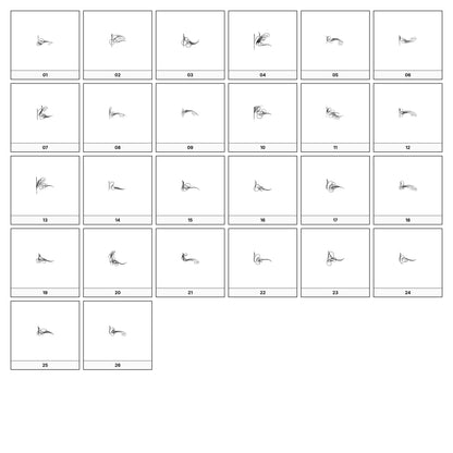 A collection of intricate black and gray ornamental flourish designs, featuring swirling lines and curves, displayed on a white background in a grid formation.