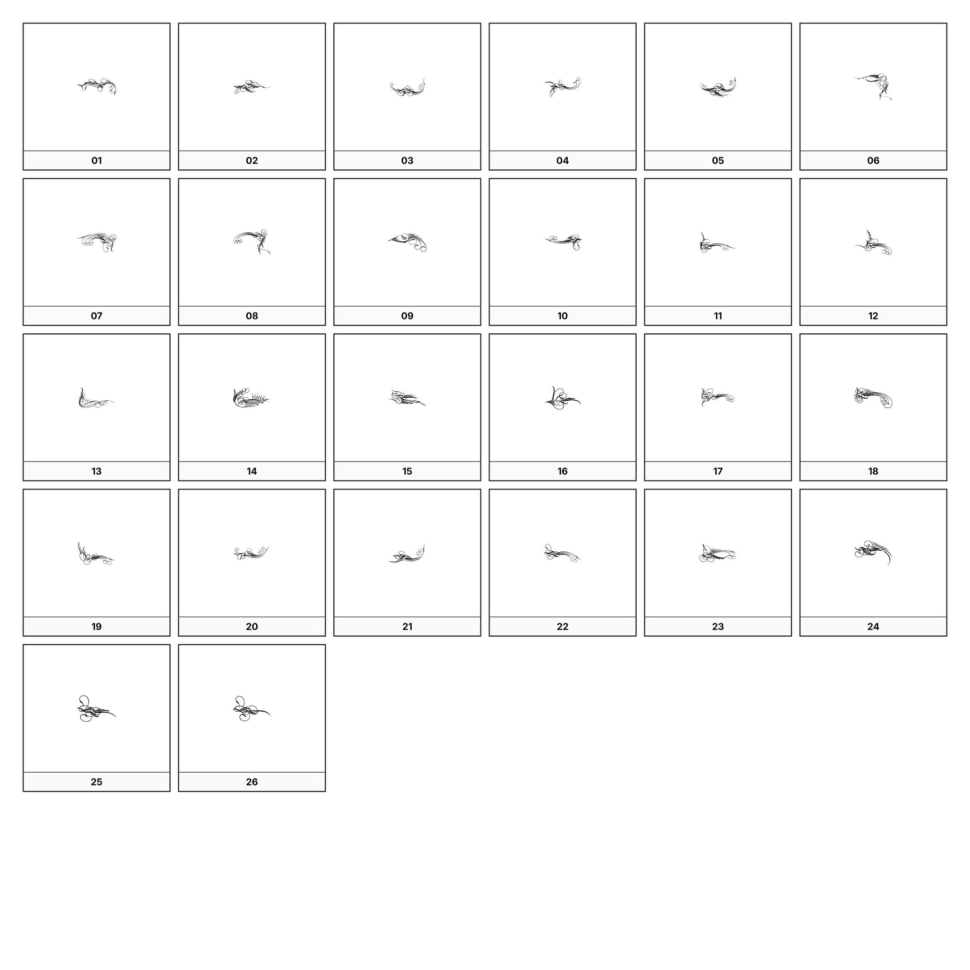 A collection of intricate black and gray ornamental flourish designs, featuring swirling lines and curves, displayed on a white background in a grid formation.