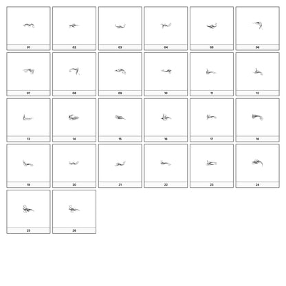 A collection of intricate black and gray ornamental flourish designs, featuring swirling lines and curves, displayed on a white background in a grid formation.