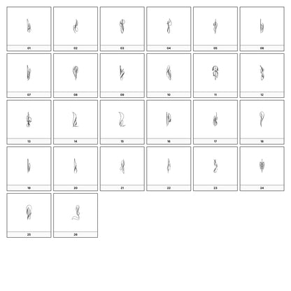A collection of intricate black and gray ornamental flourish designs, featuring swirling lines and curves, displayed on a white background in a grid formation.