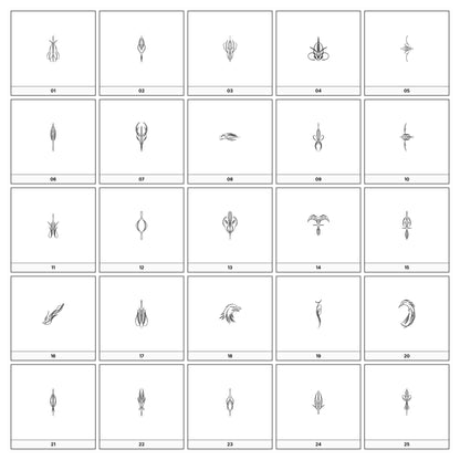 A collection of intricate black and gray ornamental flourish designs, featuring swirling lines and curves, displayed on a white background in a grid formation.