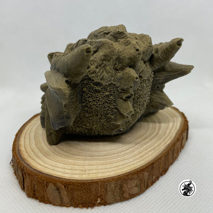 Dragon Head Resin Paperweight