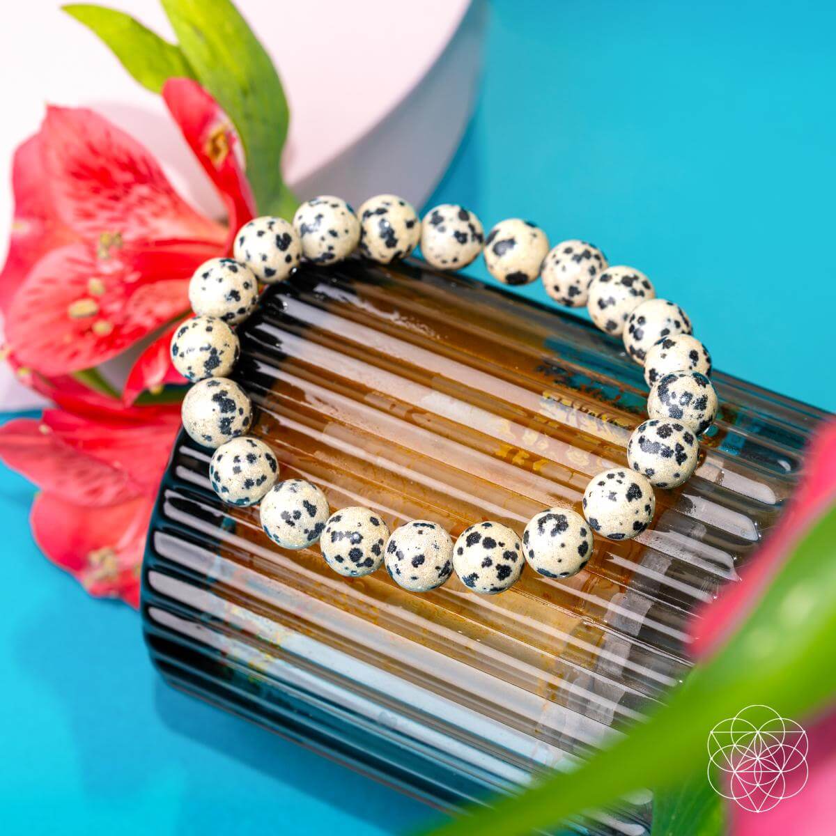 The Emotional Detox - Dalmatian Jasper Bracelet by Conscious Items, designed to promote emotional balance, is displayed on a ribbed brown glass jar adorned with red flowers and green leaves set against a bright blue background.