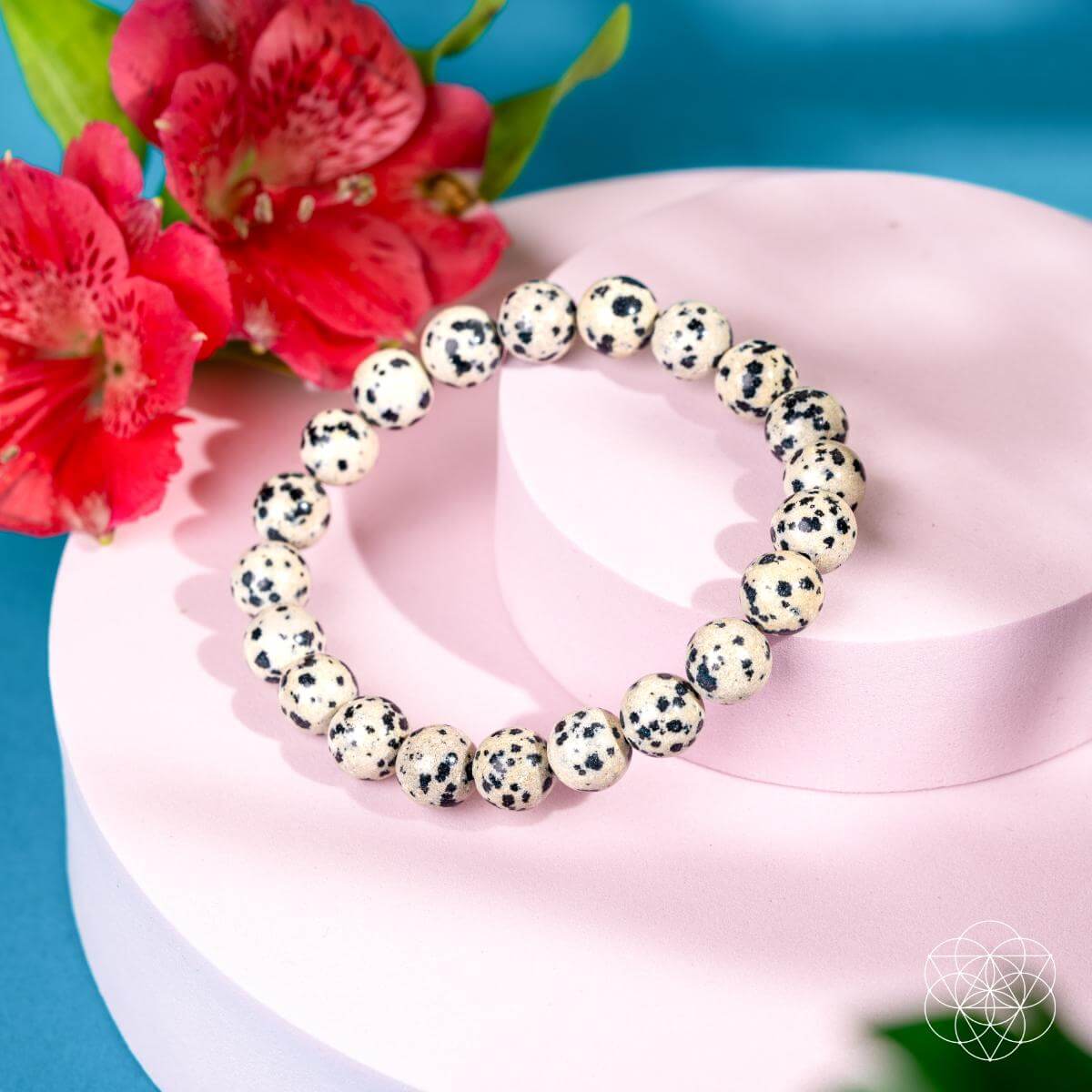 The Emotional Detox - Dalmatian Jasper Bracelet by Conscious Items rests on a pink platform with red flowers and green leaves over a blue surface—ideal for supporting emotional balance in your daily routine.