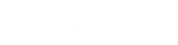 Logo of Gorgeous Dragon Designs with a dragon illustration in white