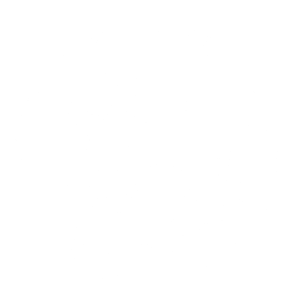 Dragon wearing a witch hat with a heart symbol in a circular frame